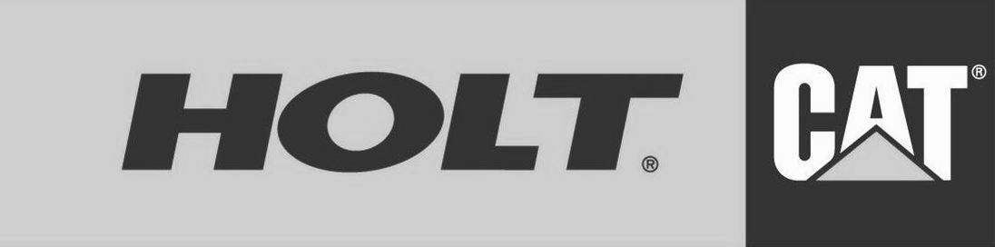 HOLT Logo