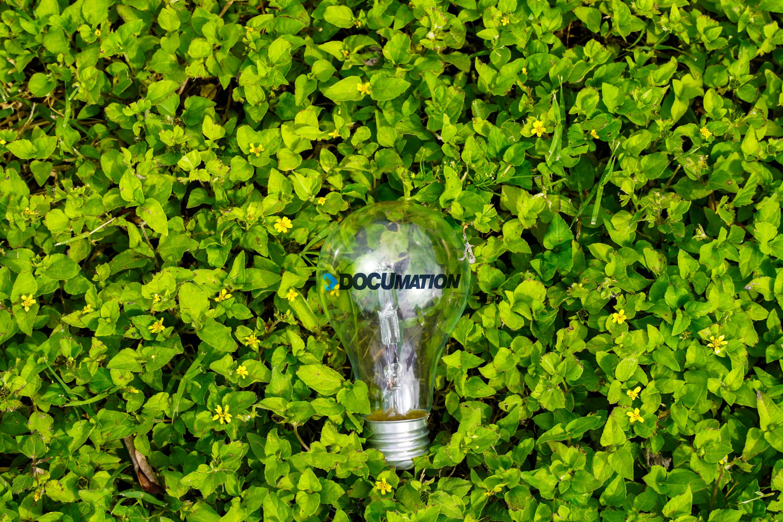 A lightbulb with Documation logo on the grass.