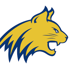 Medina Independent School District