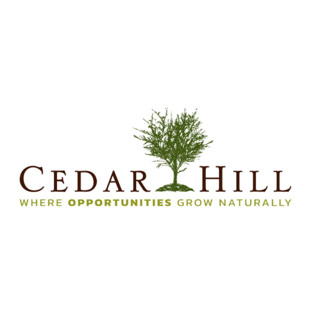 City of Cedar Hill